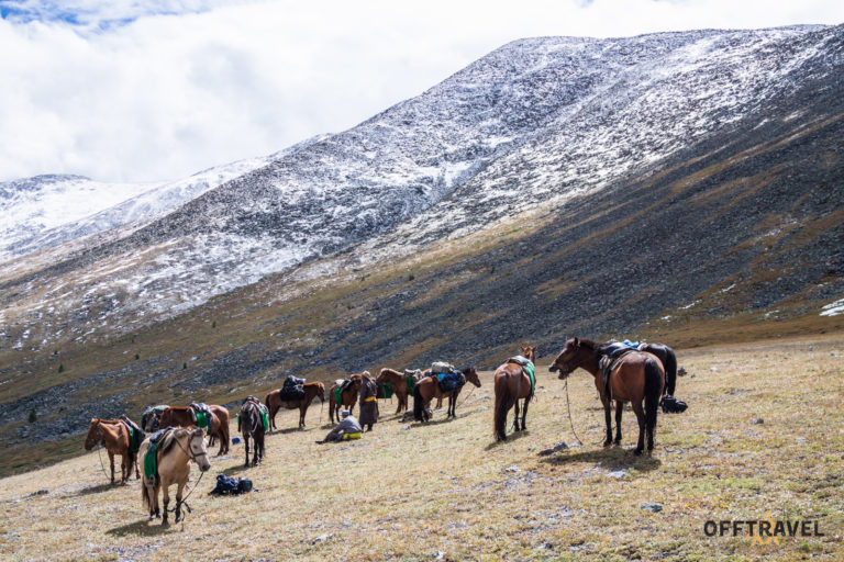 Mongolia in the Saddle