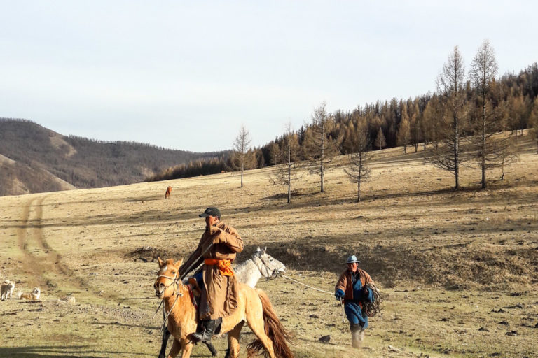 Mongolska Majówka