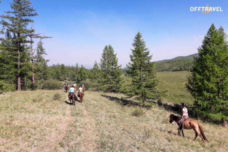 Mongolska Majówka