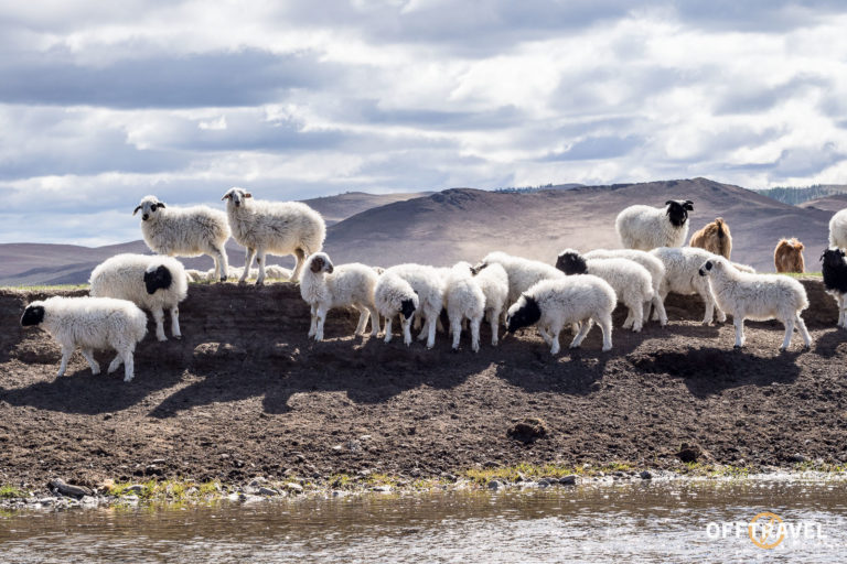 Wyprawa rowerowa Mongolia