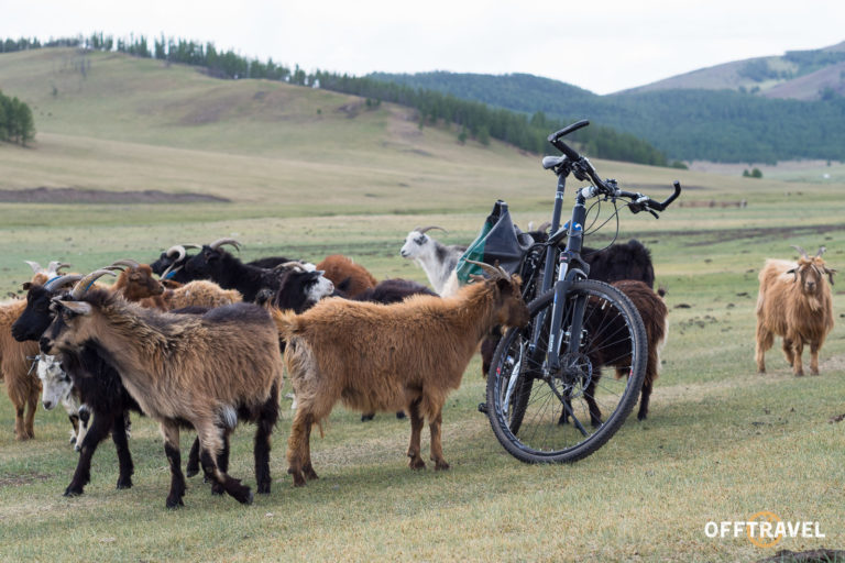 Wyprawa rowerowa Mongolia
