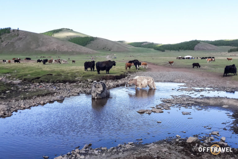 Wyprawa rowerowa Mongolia