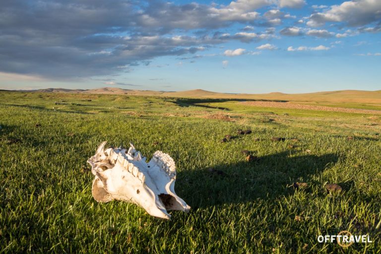 Wyprawa rowerowa Mongolia