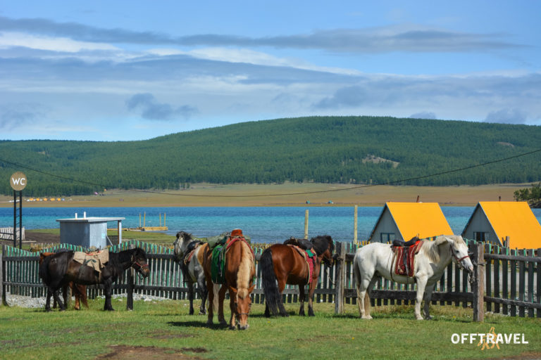 Mongolia w Siodle