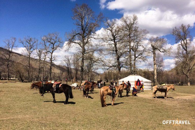 Springtime in Mongolia