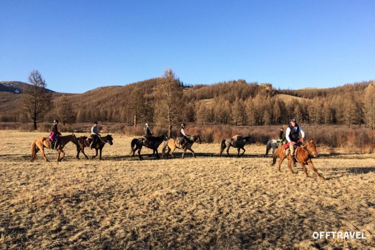Springtime in Mongolia