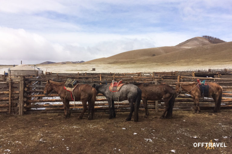 Springtime in Mongolia
