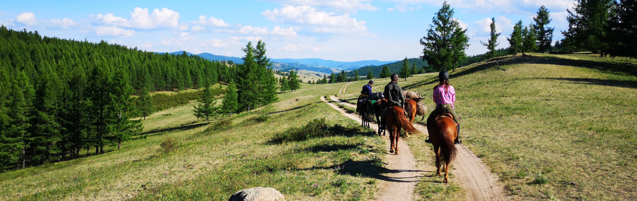 W Siodło i przez Step