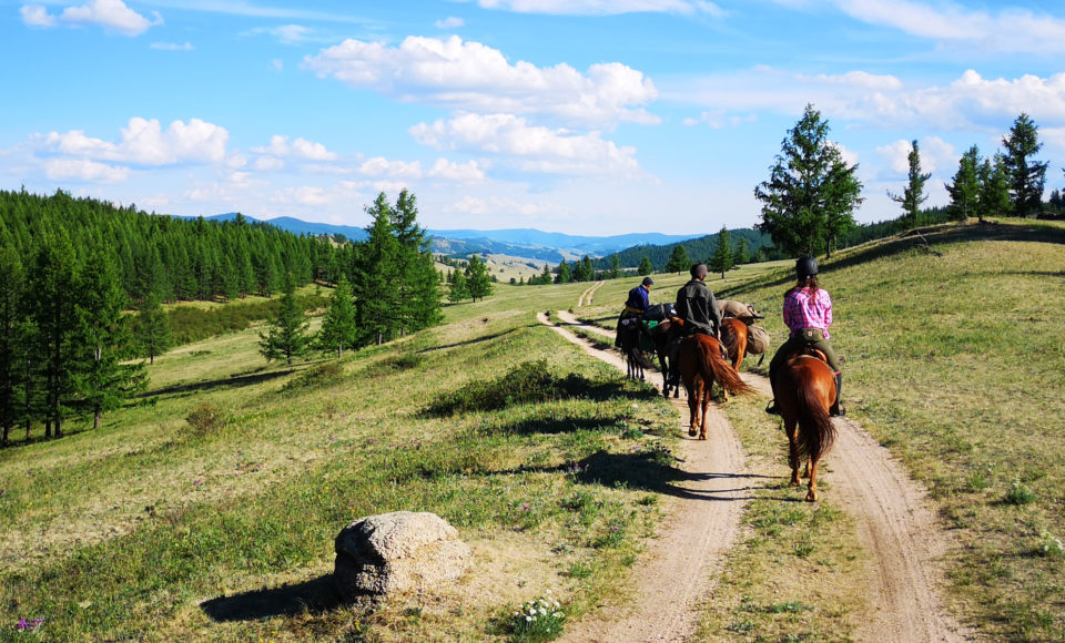 Galopem na Naadam