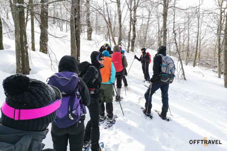 Bieszczady na Rakietach