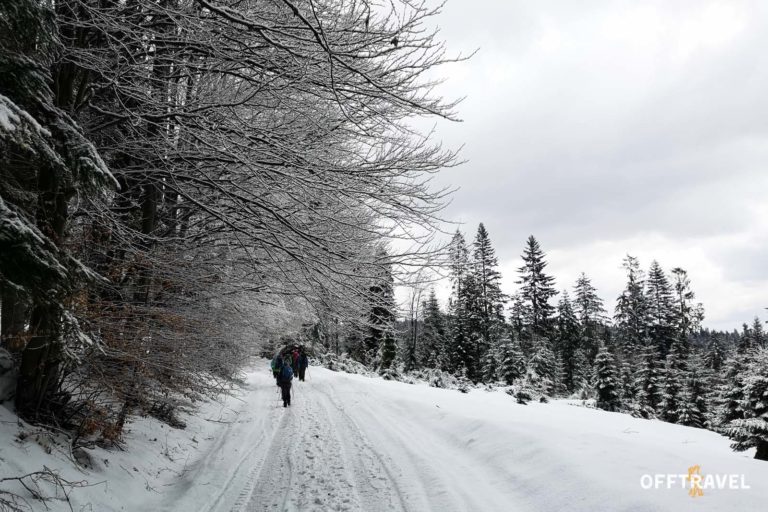 Beskidzka Zima