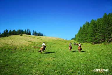 Mongolska Przygoda w Siodle