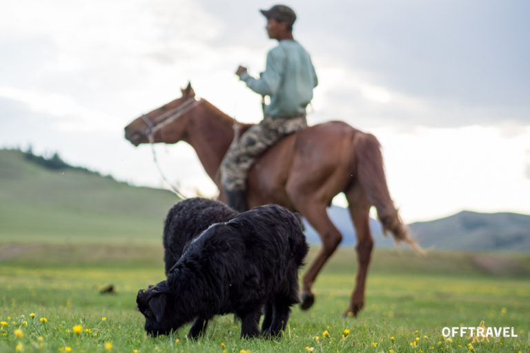 Mongolska Przygoda w&nbsp;Siodle
