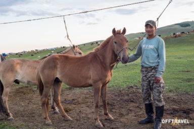 Mongolska Przygoda w Siodle