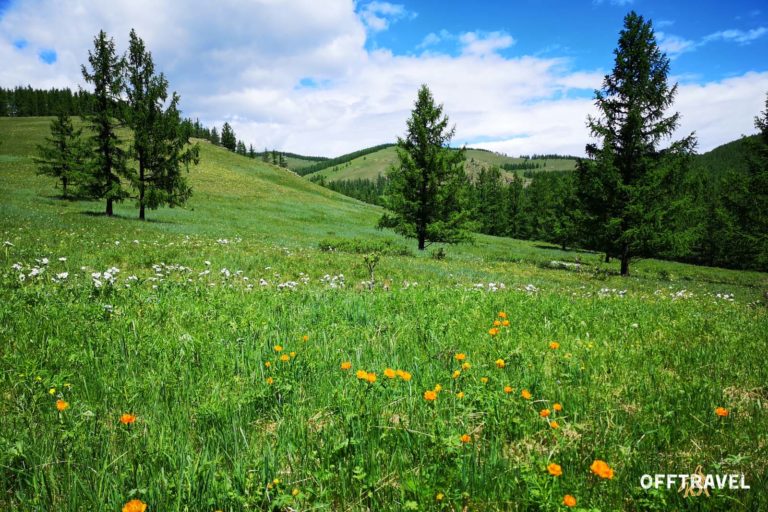 Mongolska Przygoda w&nbsp;Siodle