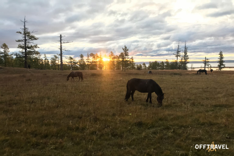 Mongolia w Siodle