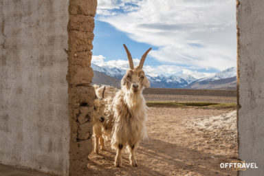 Pamir Highway