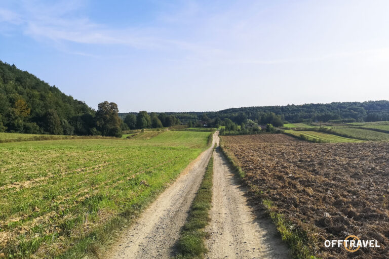 Dzika Polska – Rowerowe&nbsp;Roztocze