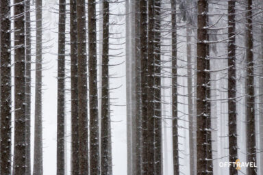 Przez Beskid Żywiecki