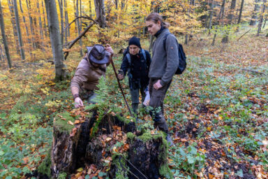 Wilcze Góry – W Poszukiwaniu Dzikości