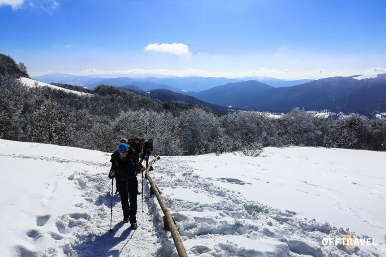 Dzika Polska – Bieszczady na Rakietach