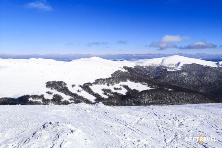 Dzika Polska – Bieszczady na Rakietach