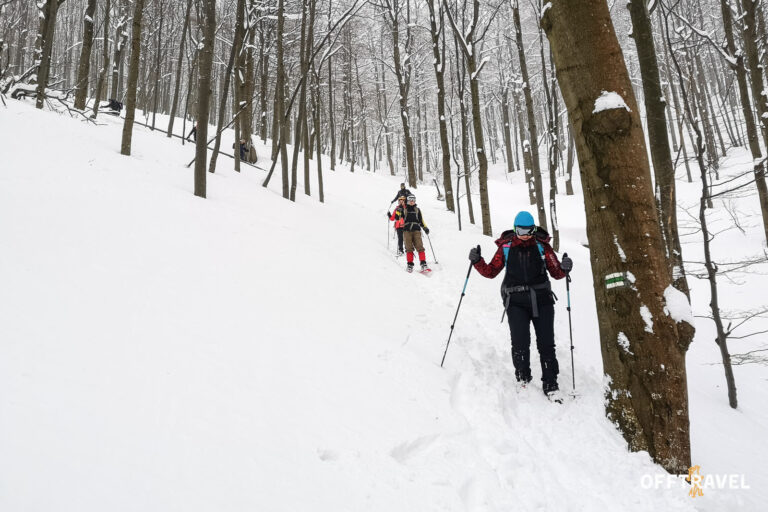 Dzika Polska – Bieszczady na Rakietach
