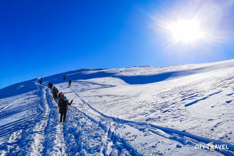 Dzika Polska – Bieszczady na Rakietach