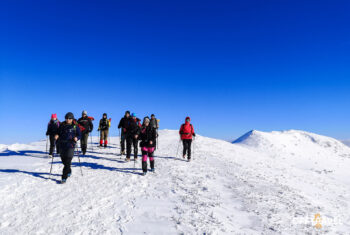 Dzika Polska – Bieszczady na Rakietach