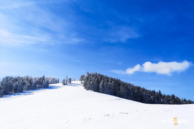 Dzika Polska – Przez&nbsp;Beskid Żywiecki