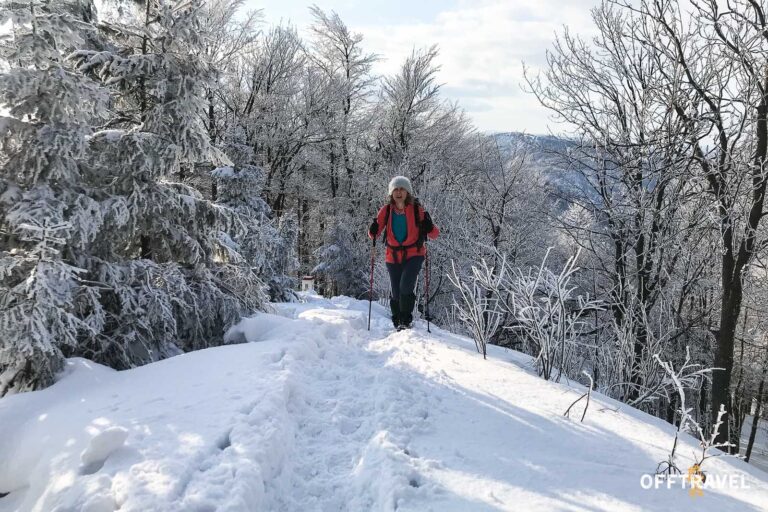 Dzika Polska – Przez&nbsp;Beskid Żywiecki