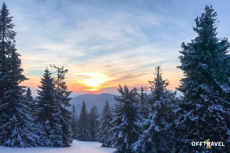 Dzika Polska – Przez&nbsp;Beskid Żywiecki