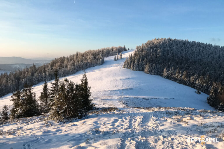 Dzika Polska – Przez&nbsp;Beskid Żywiecki