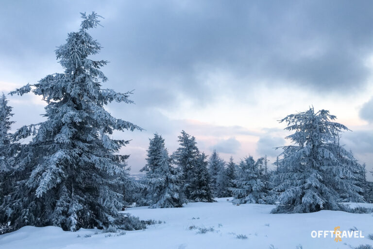 Dzika Polska – Przez&nbsp;Beskid Żywiecki