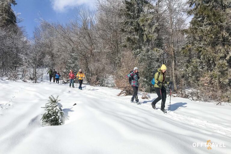 Dzika Polska – Przez&nbsp;Beskid Żywiecki