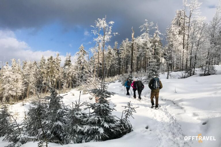 Dzika Polska – Przez&nbsp;Beskid Żywiecki