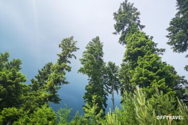 Dzika Polska – Główny Szlak Beskidzki