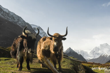 Wokół Manaslu