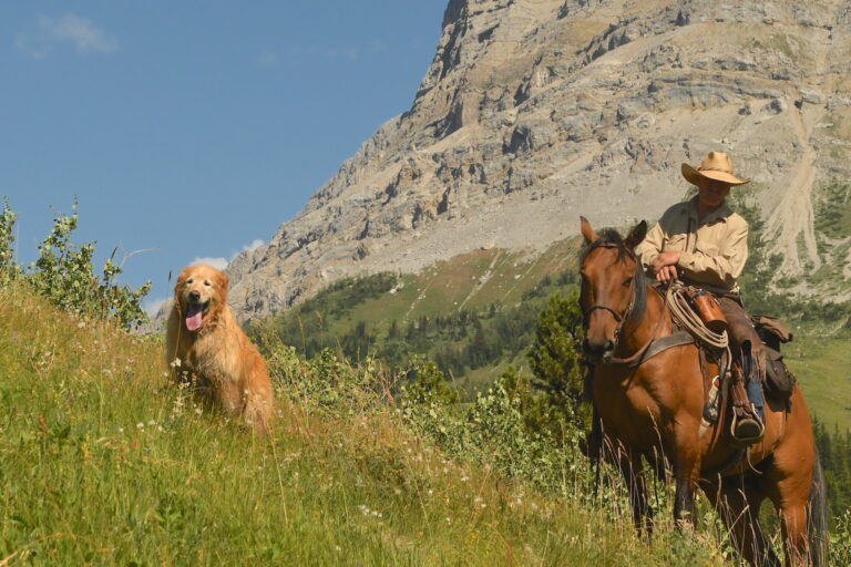 Wild Wild West