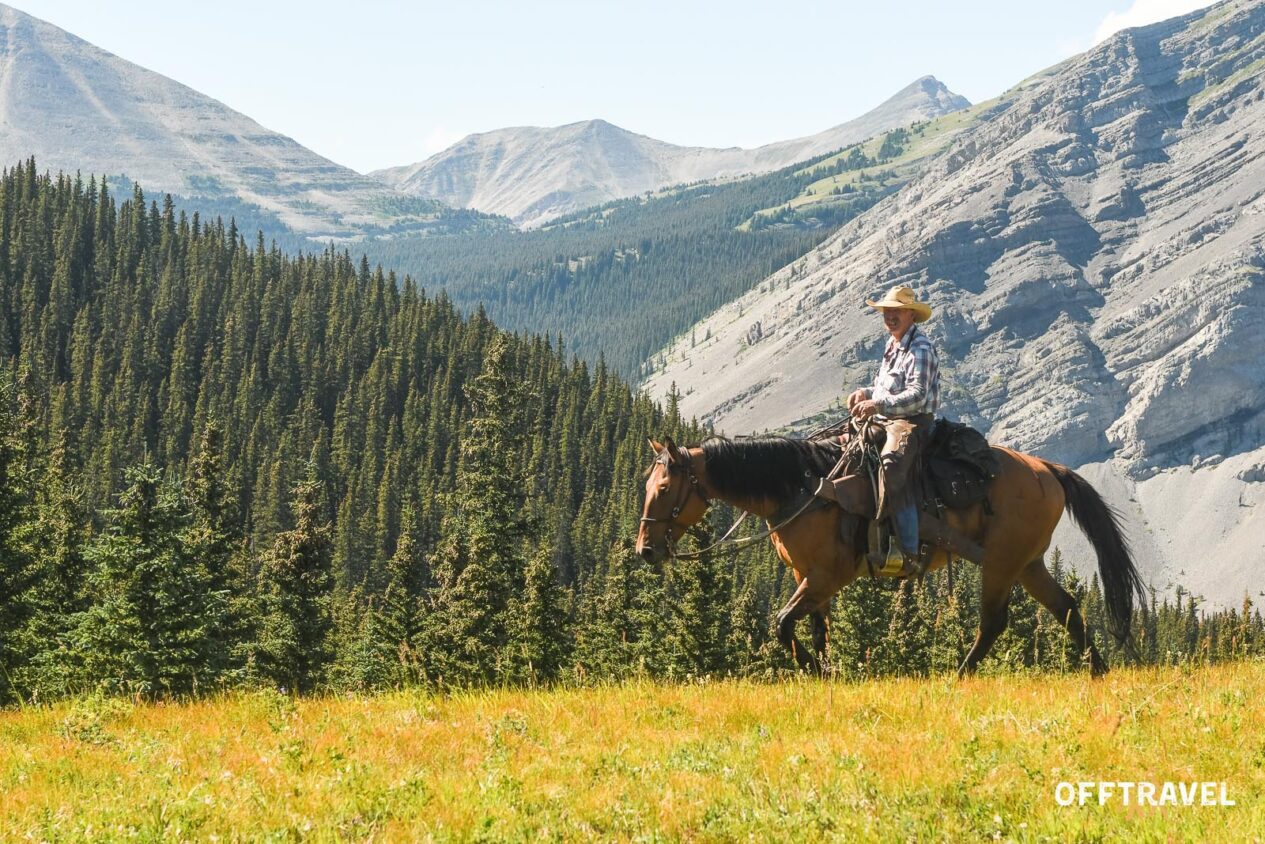 Wild Wild West