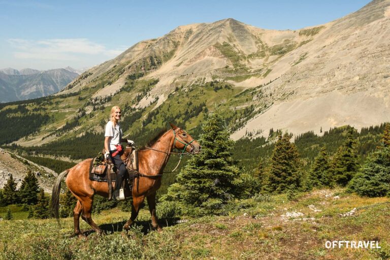 Wild Wild West