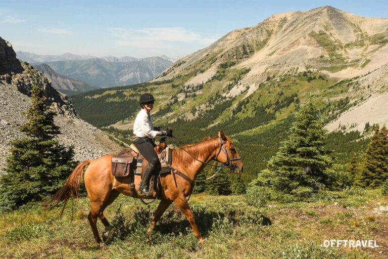 Wild Wild West