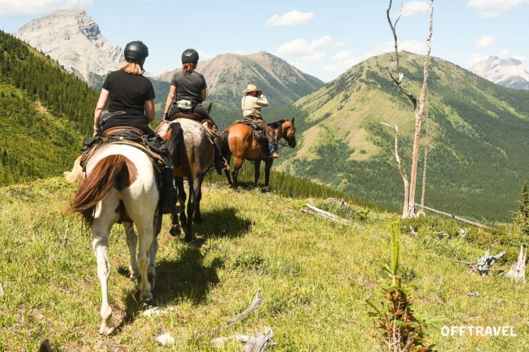 Wild Wild West