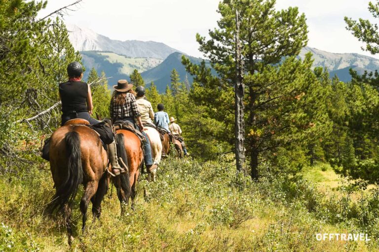 Wild Wild West