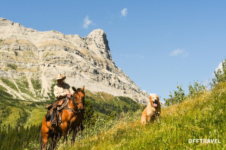 Wild Wild West
