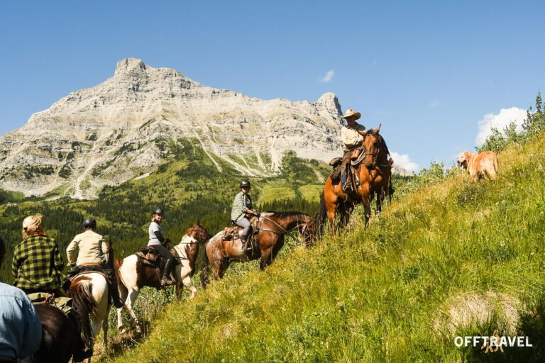 Wild Wild West