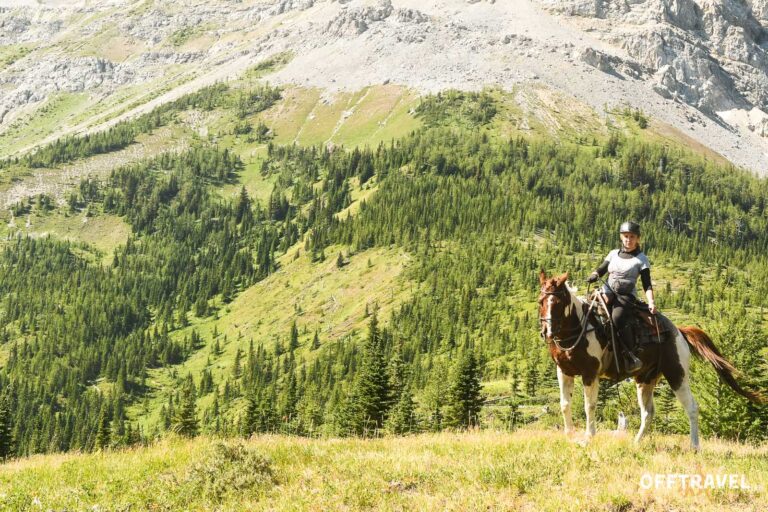 Wild Wild West