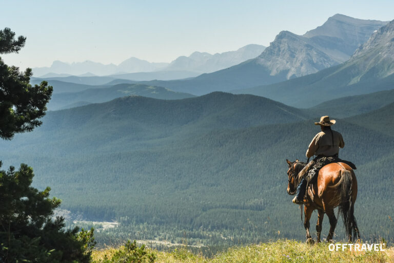Wild Wild West