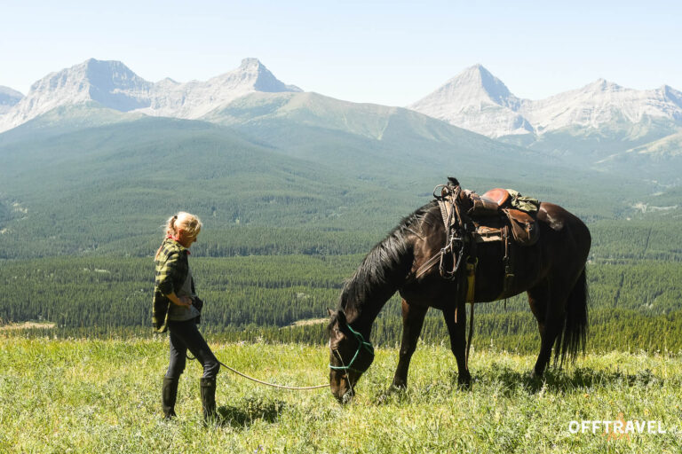 Wild Wild West
