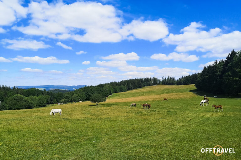 Dzika Polska – Sudety MTB
